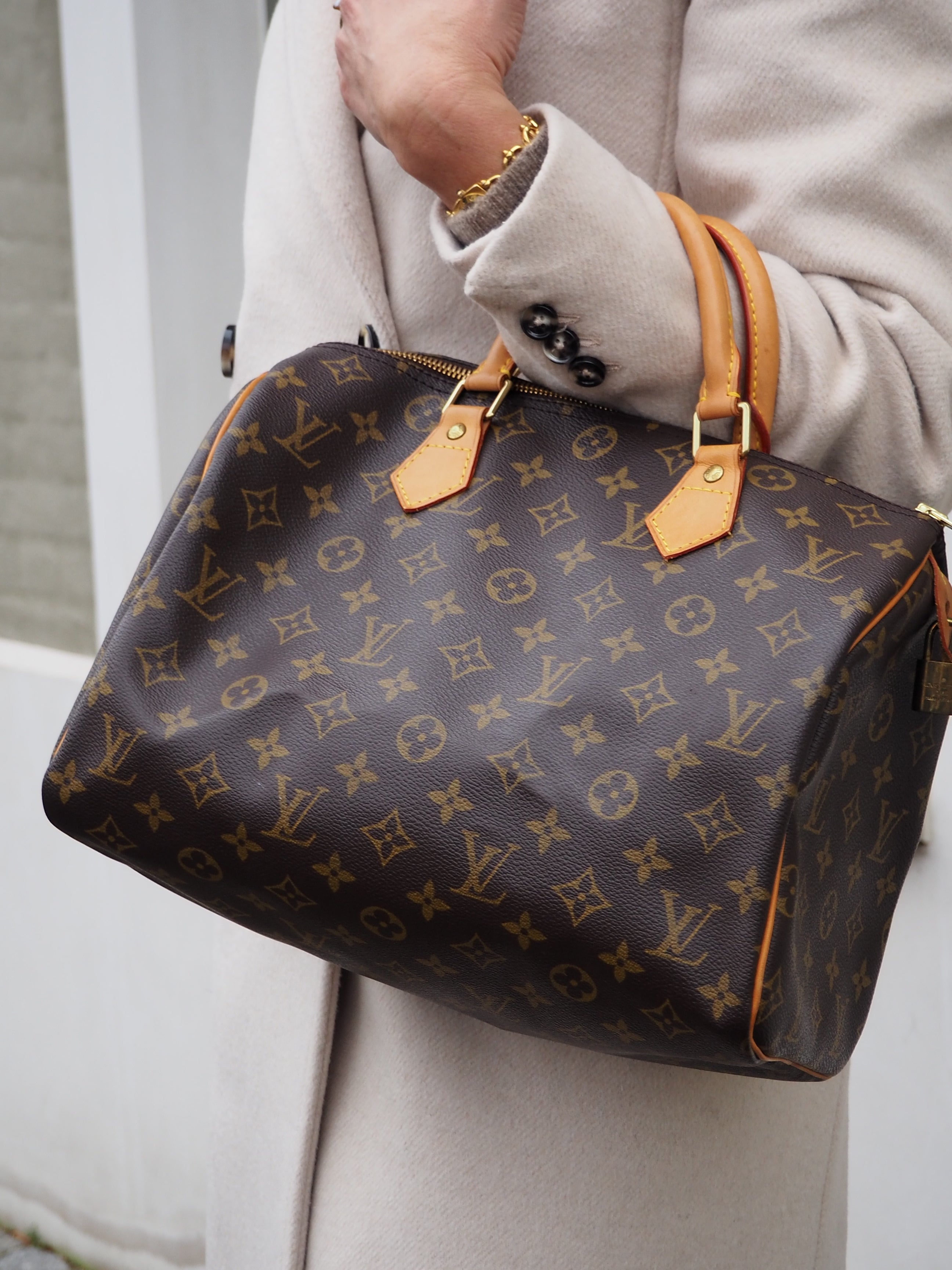 LOUIS VUITTON SPEEDY 30 MONOGRAM CANVAS