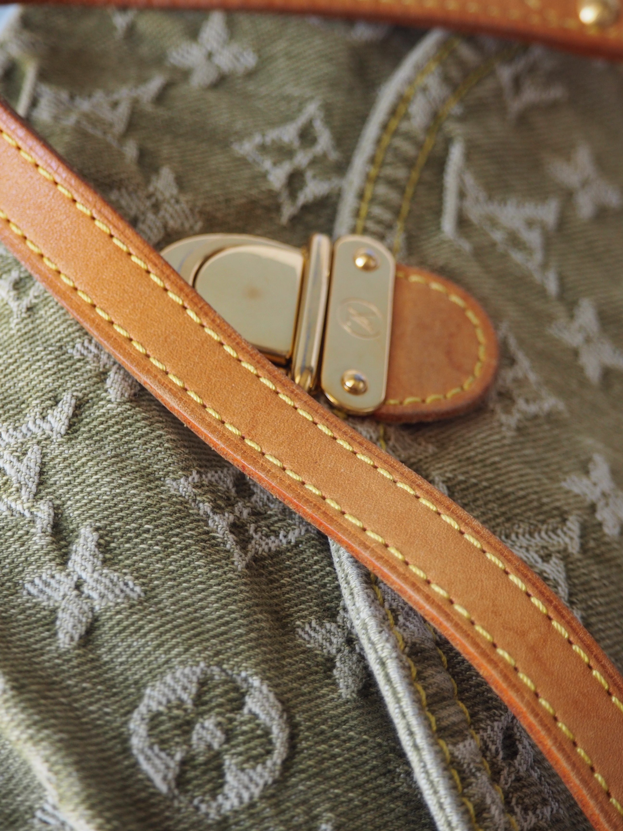 LOUIS VUITTON PLEATY PM