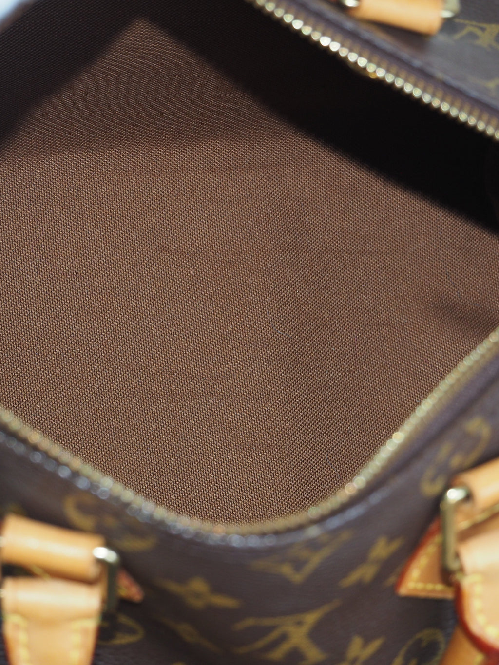 LOUIS VUITTON SPEEDY 25 MONOGRAM