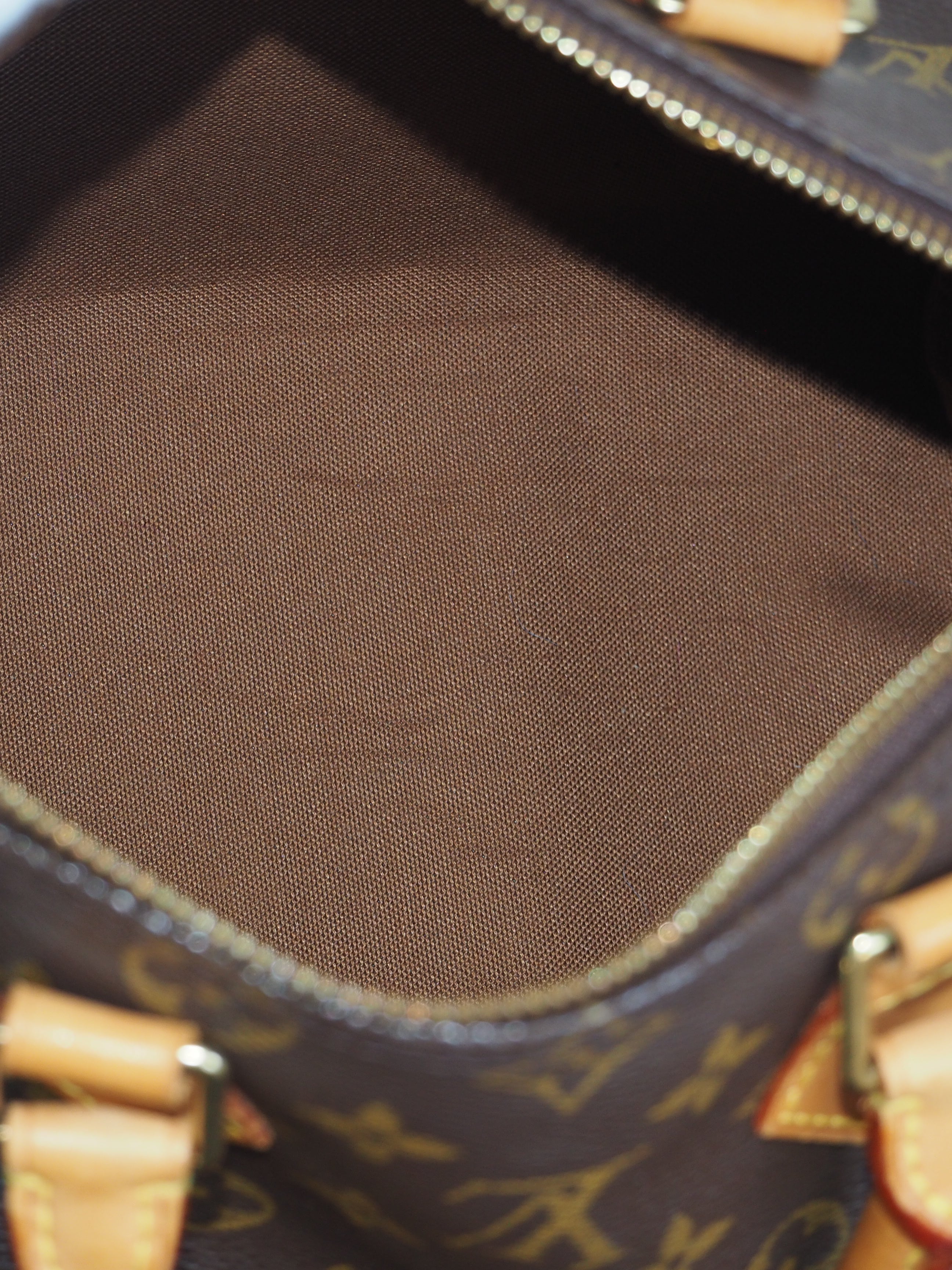 LOUIS VUITTON SPEEDY 25 MONOGRAM