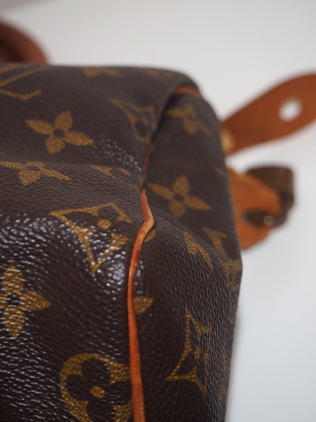 LOUIS VUITTON SPEEDY 25