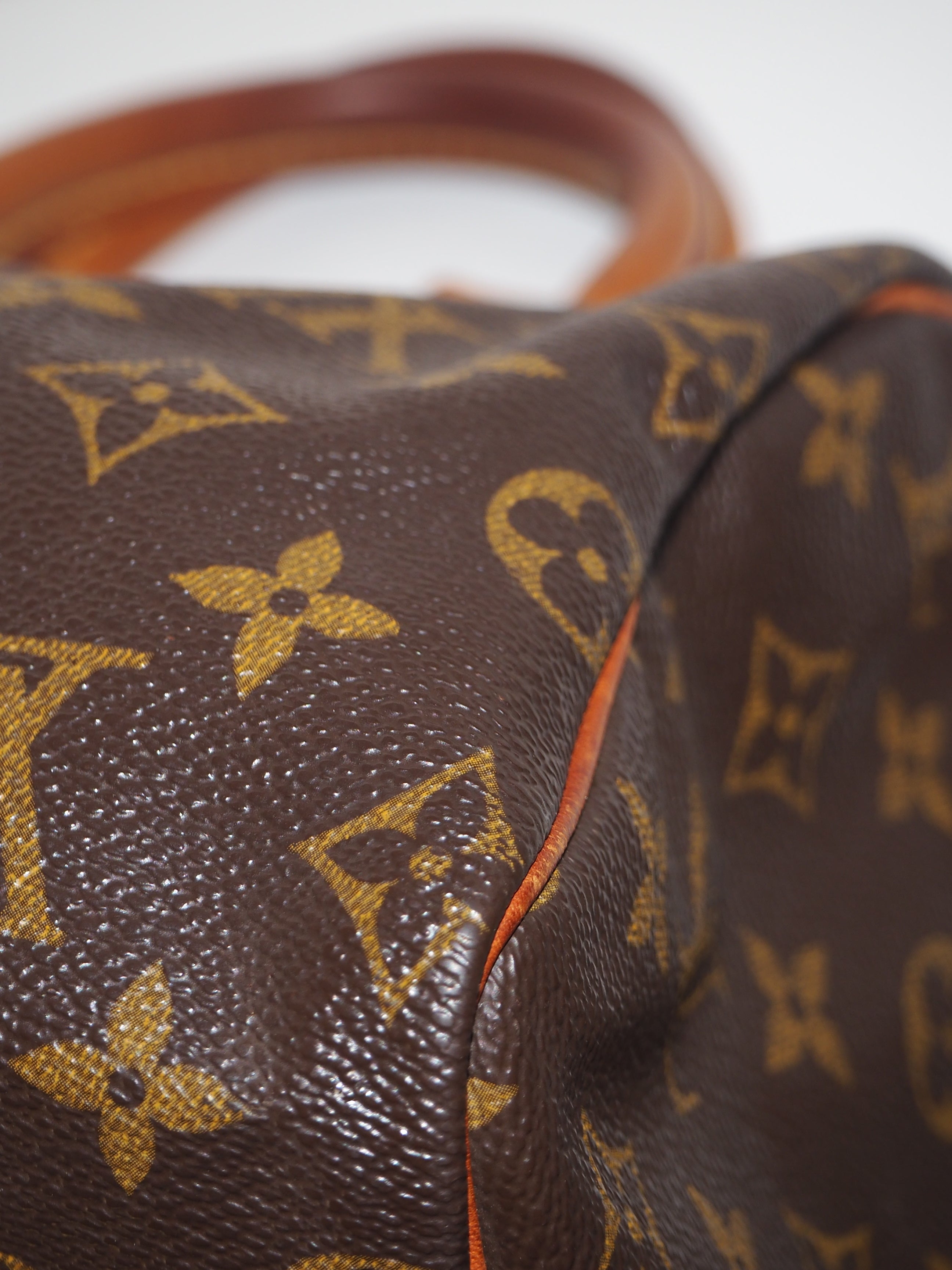 LOUIS VUITTON SPEEDY 25