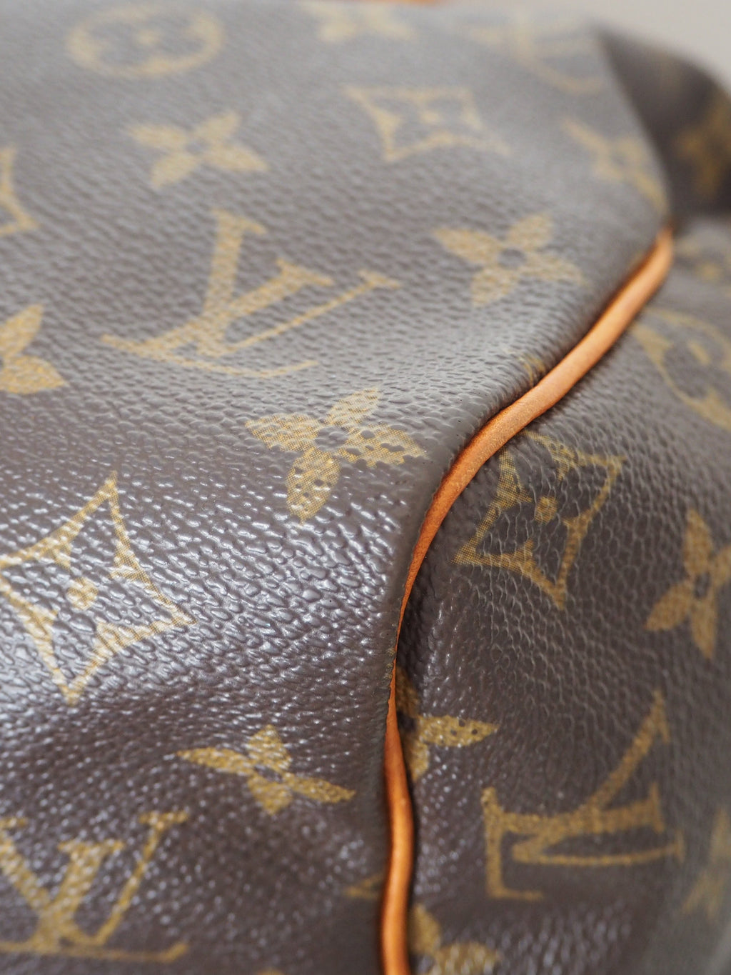 LOUIS VUITTON SPEEDY 30 MONOGRAM CANVAS