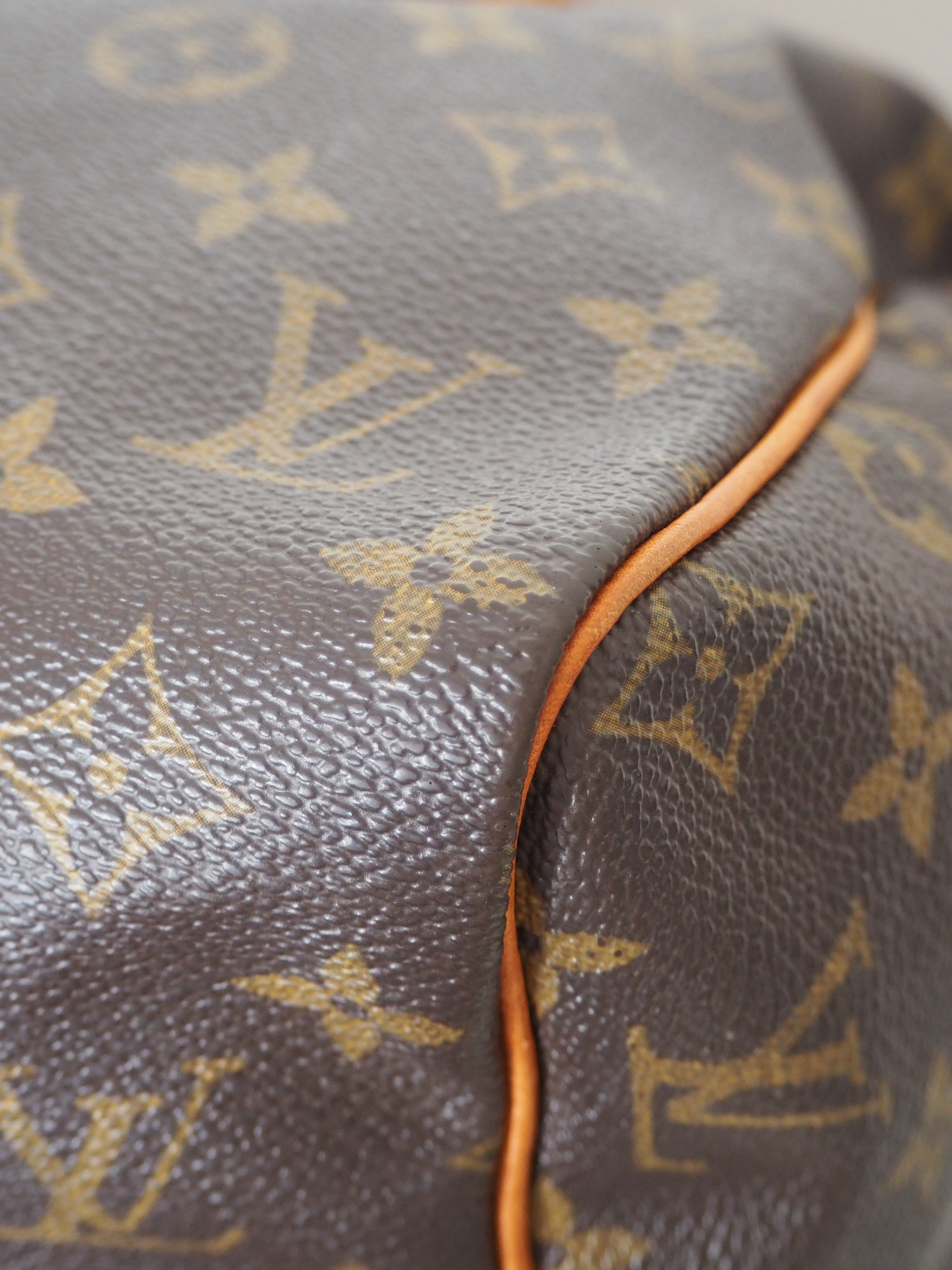 LOUIS VUITTON SPEEDY 30 MONOGRAM CANVAS