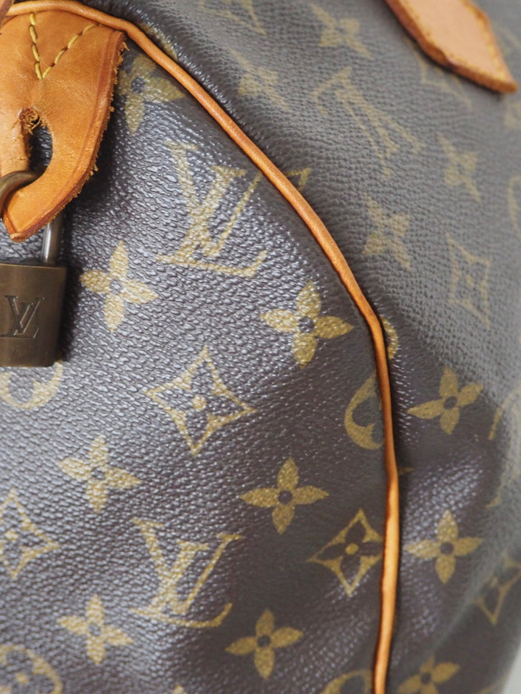 LOUIS VUITTON SPEEDY 30 MONOGRAM CANVAS