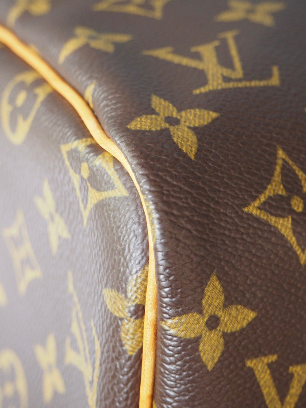 LOUIS VUITTON SPEEDY 30 MONOGRAM CANVAS