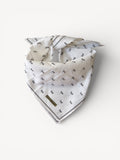 CELINE CARRIAGE SCARF