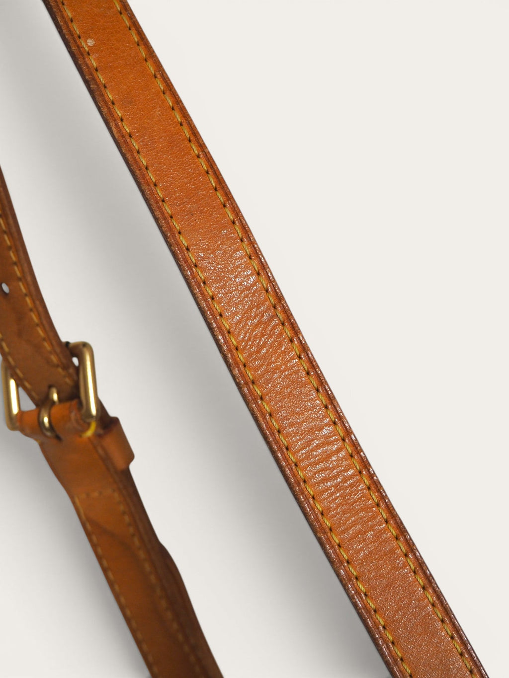 LOUIS VUITTON VIVA CITE PM