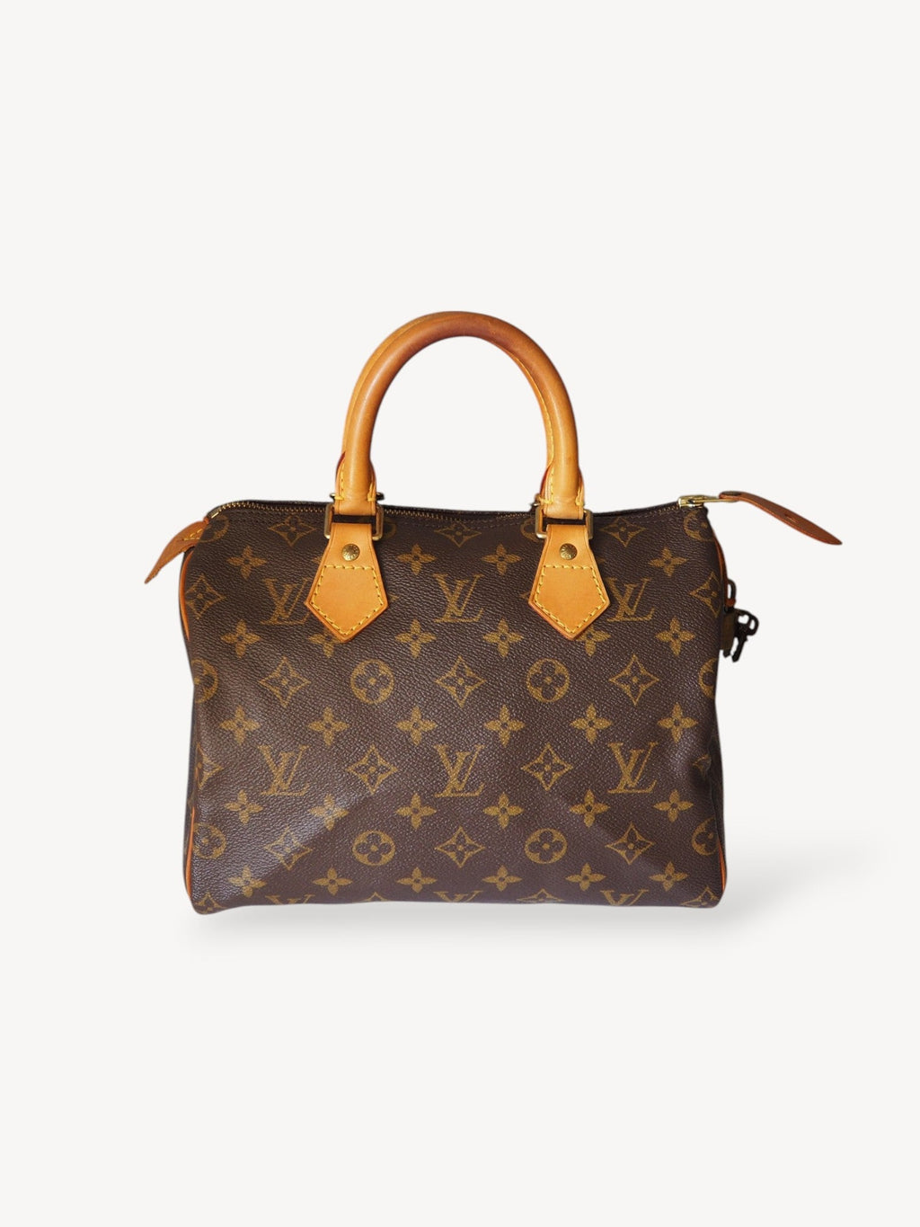 LOUIS VUITTON SPEEDY 25 MONOGRAM