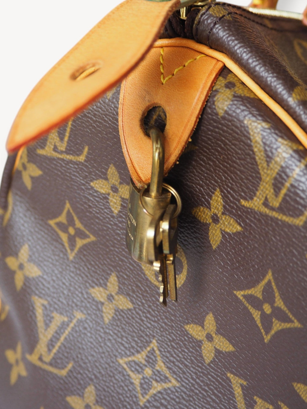 LOUIS VUITTON SPEEDY 30 MONOGRAM CANVAS