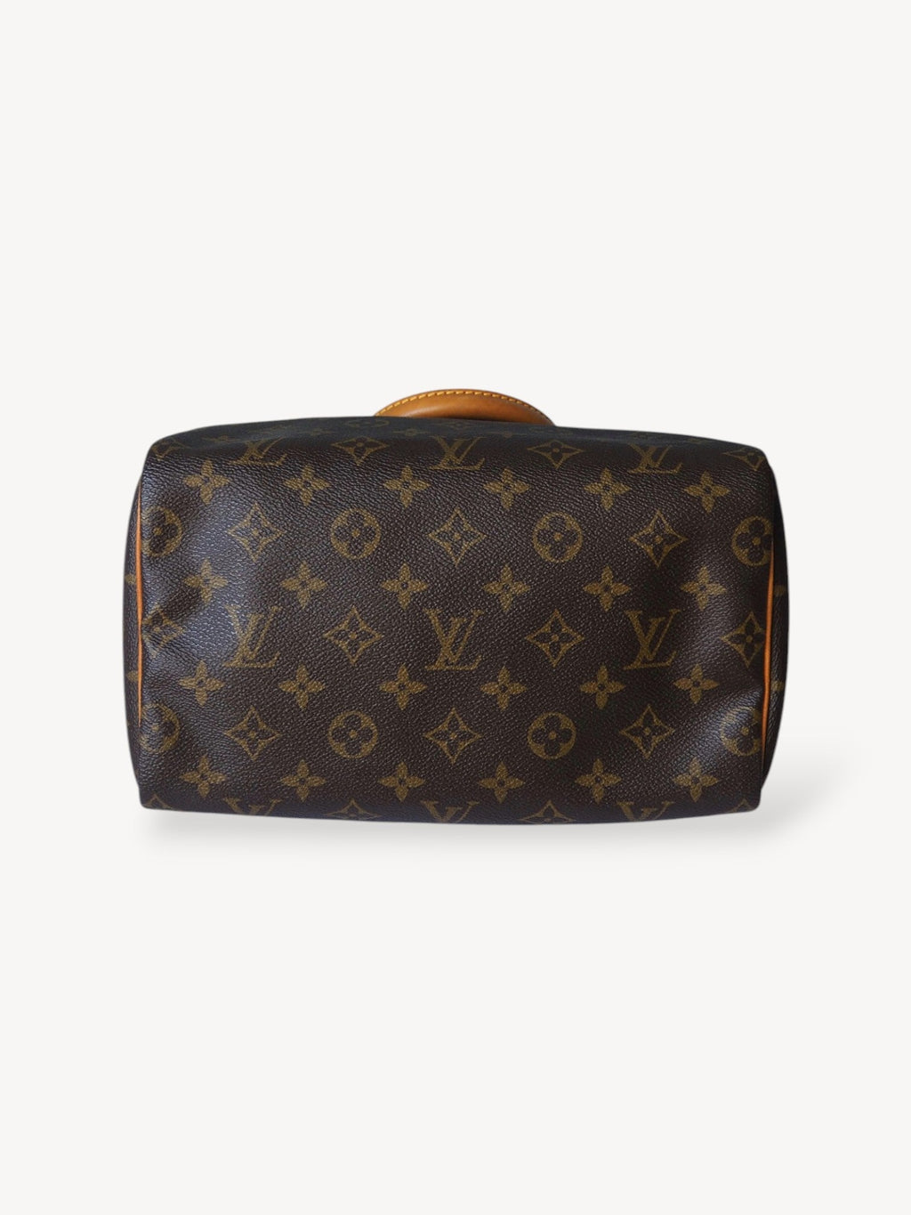LOUIS VUITTON SPEEDY 25 HANDBAG MONOGRAM