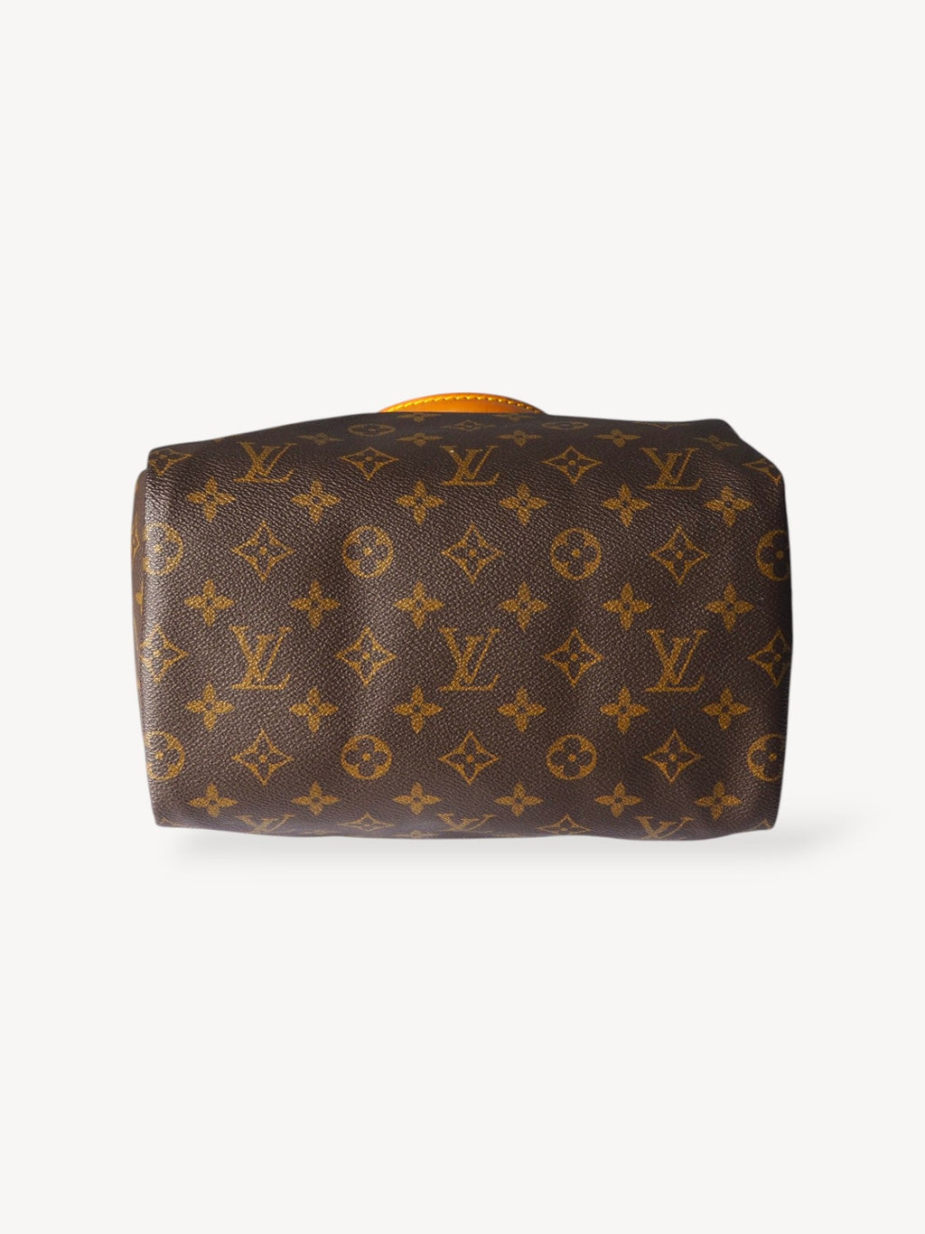 LOUIS VUITTON SPEEDY 25 MONOGRAM