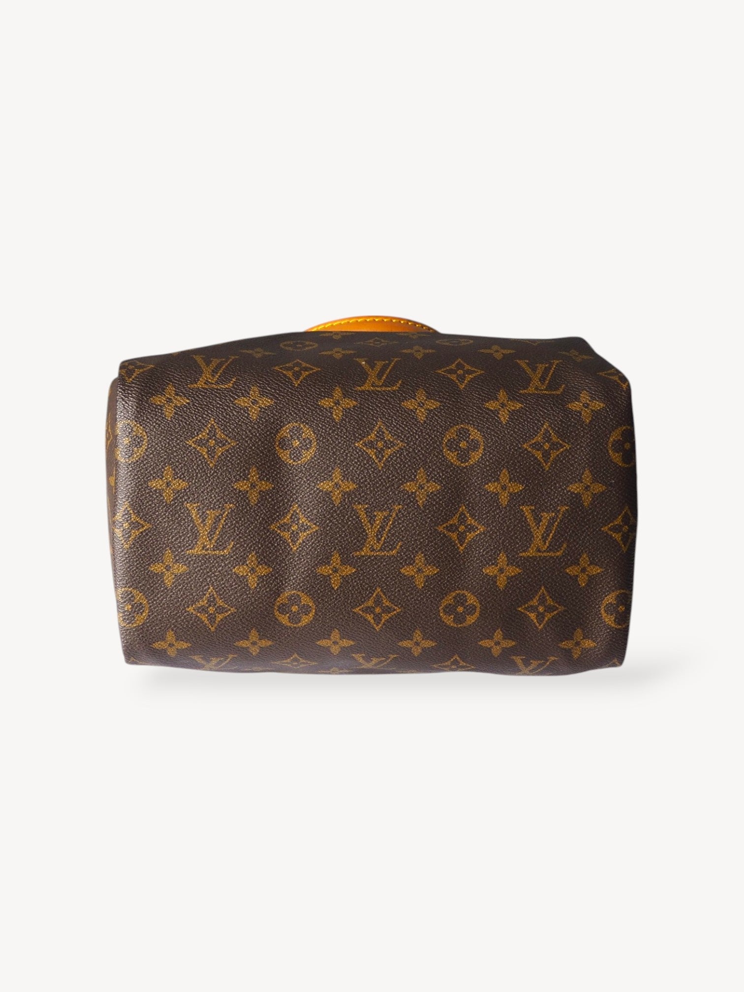 LOUIS VUITTON SPEEDY 25 MONOGRAM