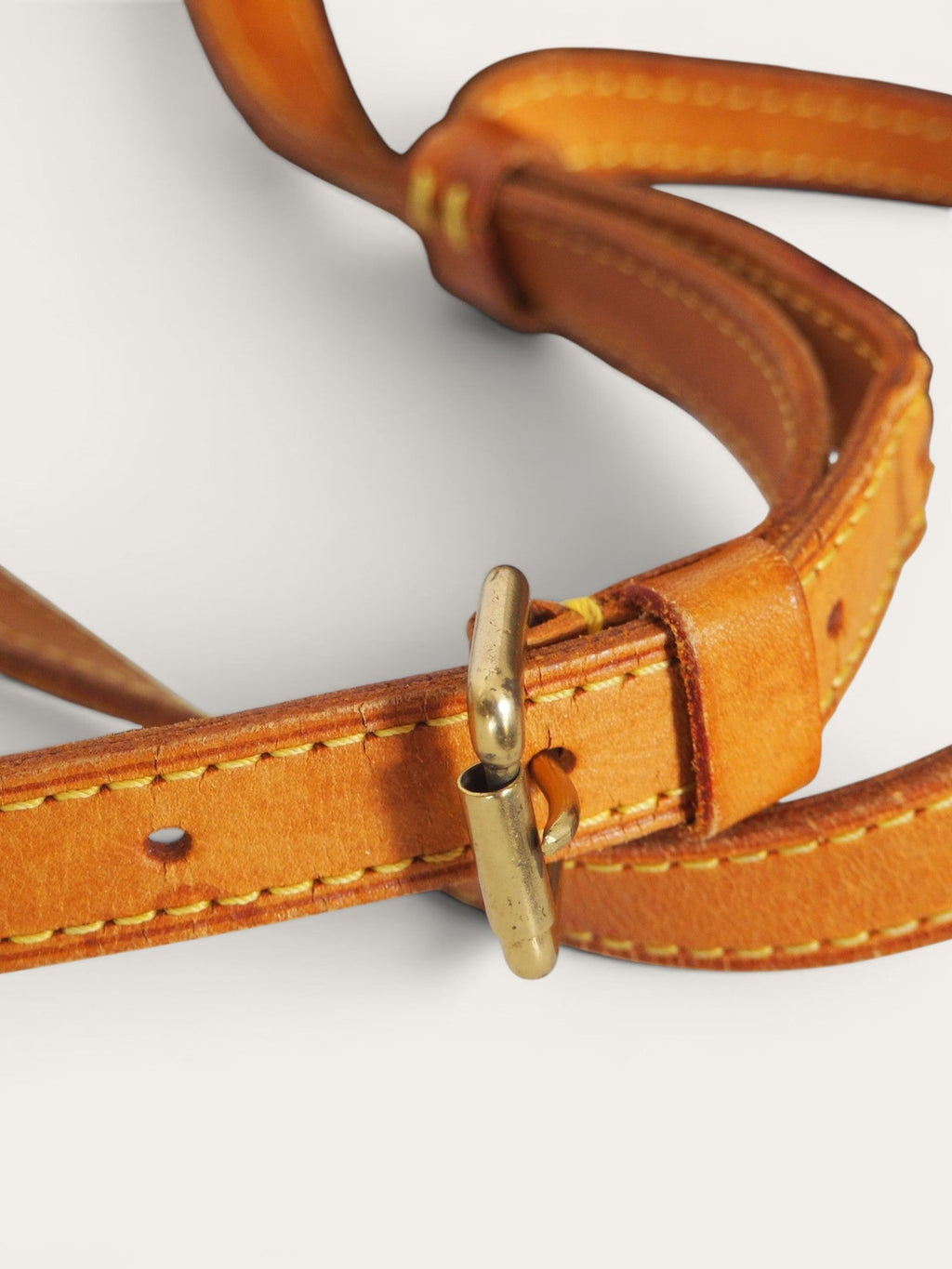 LOUIS VUITTON VIVA CITE PM