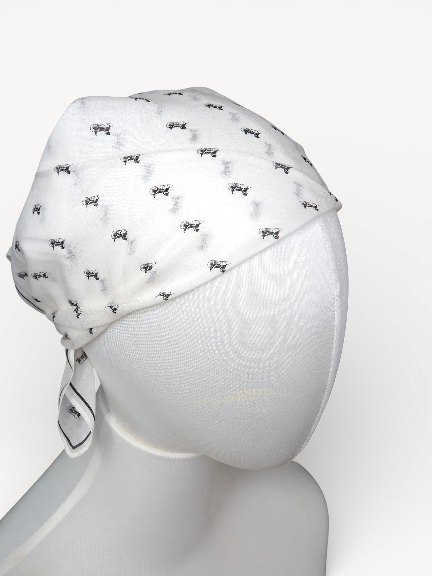 CELINE CARRIAGE SCARF