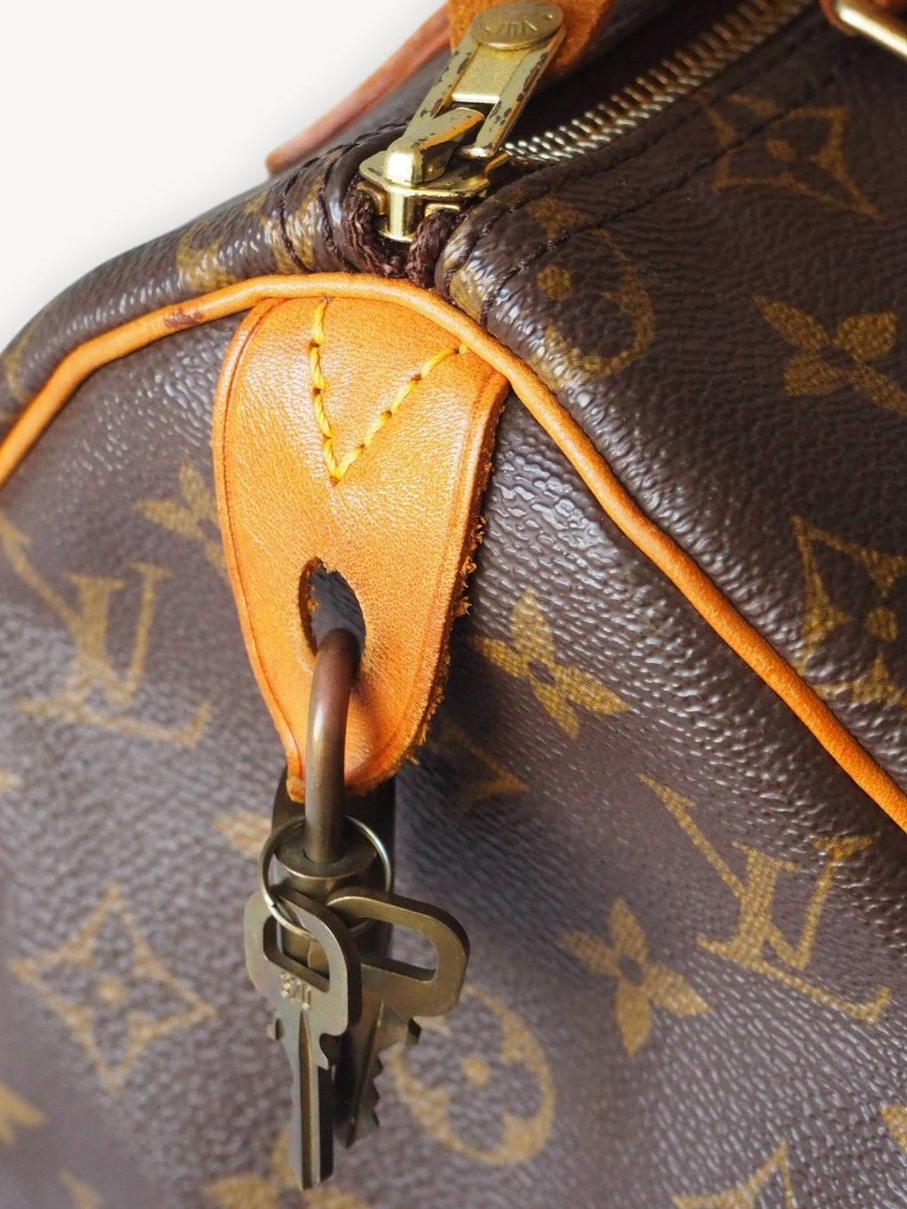 LOUIS VUITTON SPEEDY 25 MONOGRAM