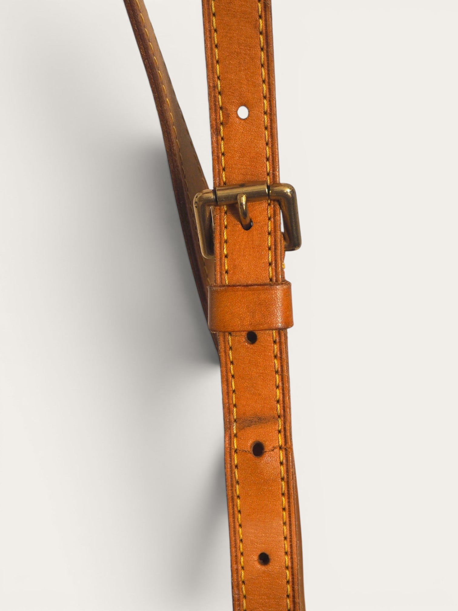 LOUIS VUITTON VIVA CITE PM