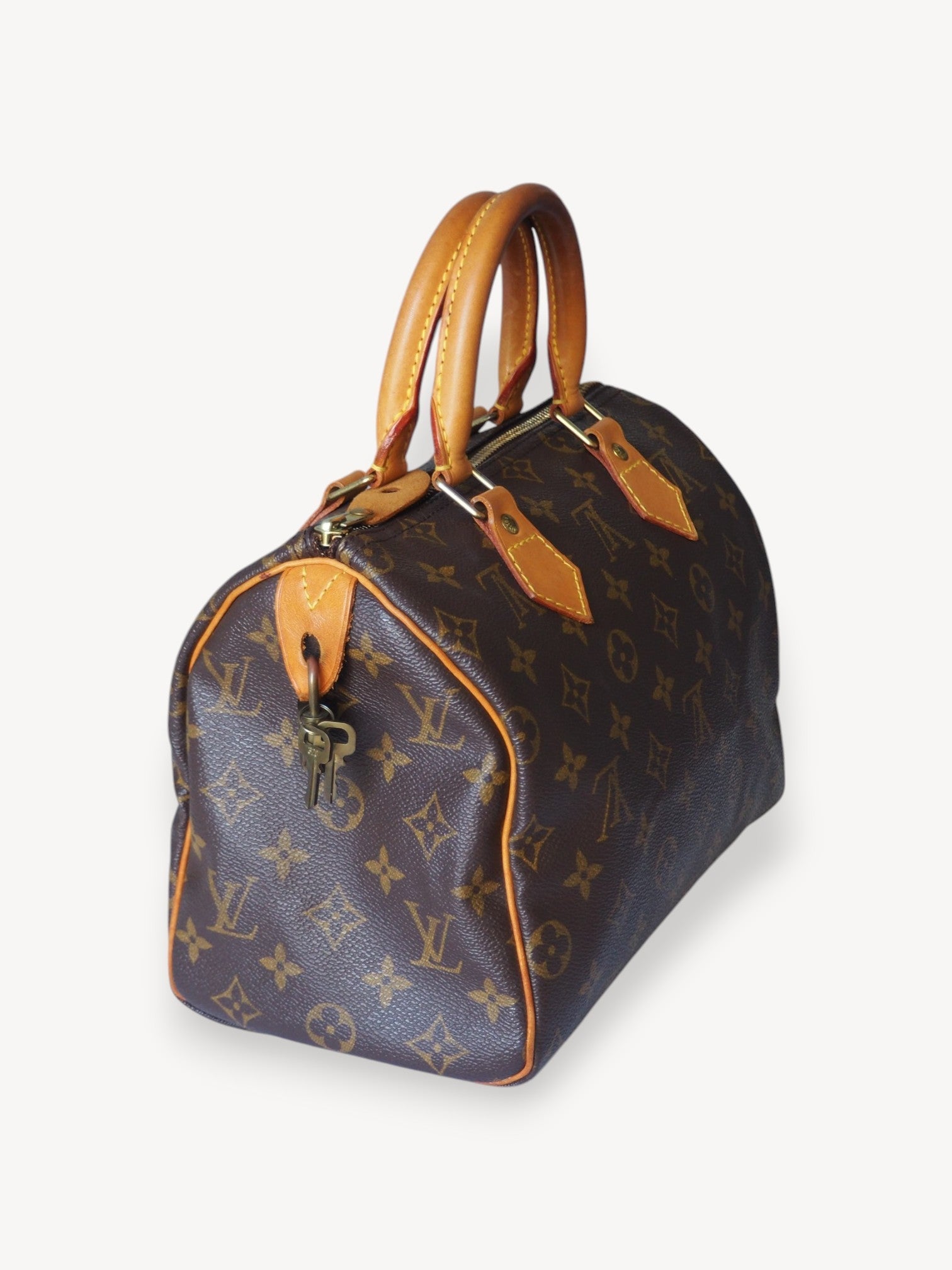 LOUIS VUITTON SPEEDY 25 MONOGRAM