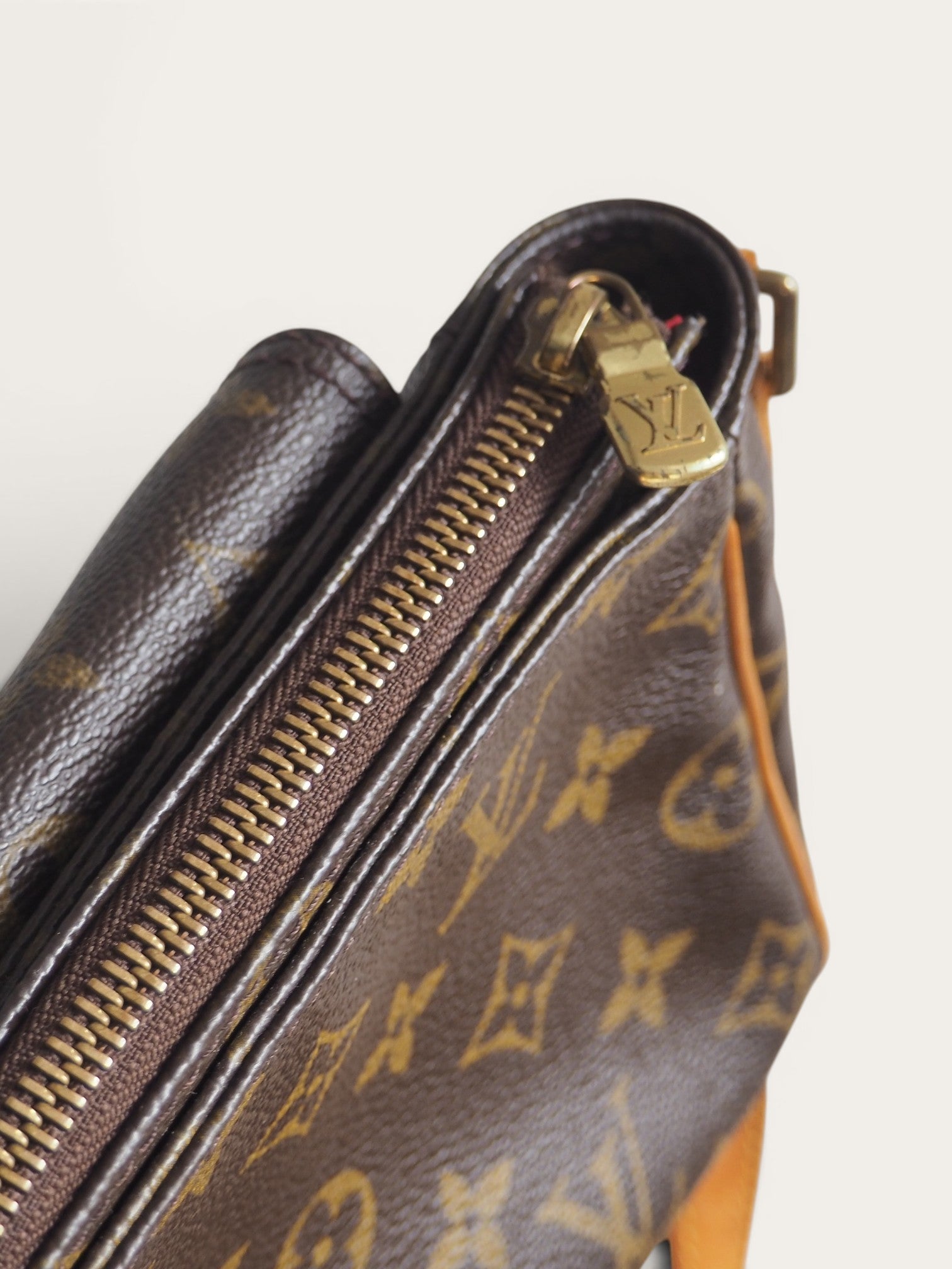 LOUIS VUITTON VIVA CITE PM